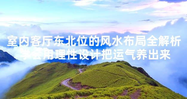 室内客厅东北位的风水布局全解析 学会用理性设计把运气养出来
